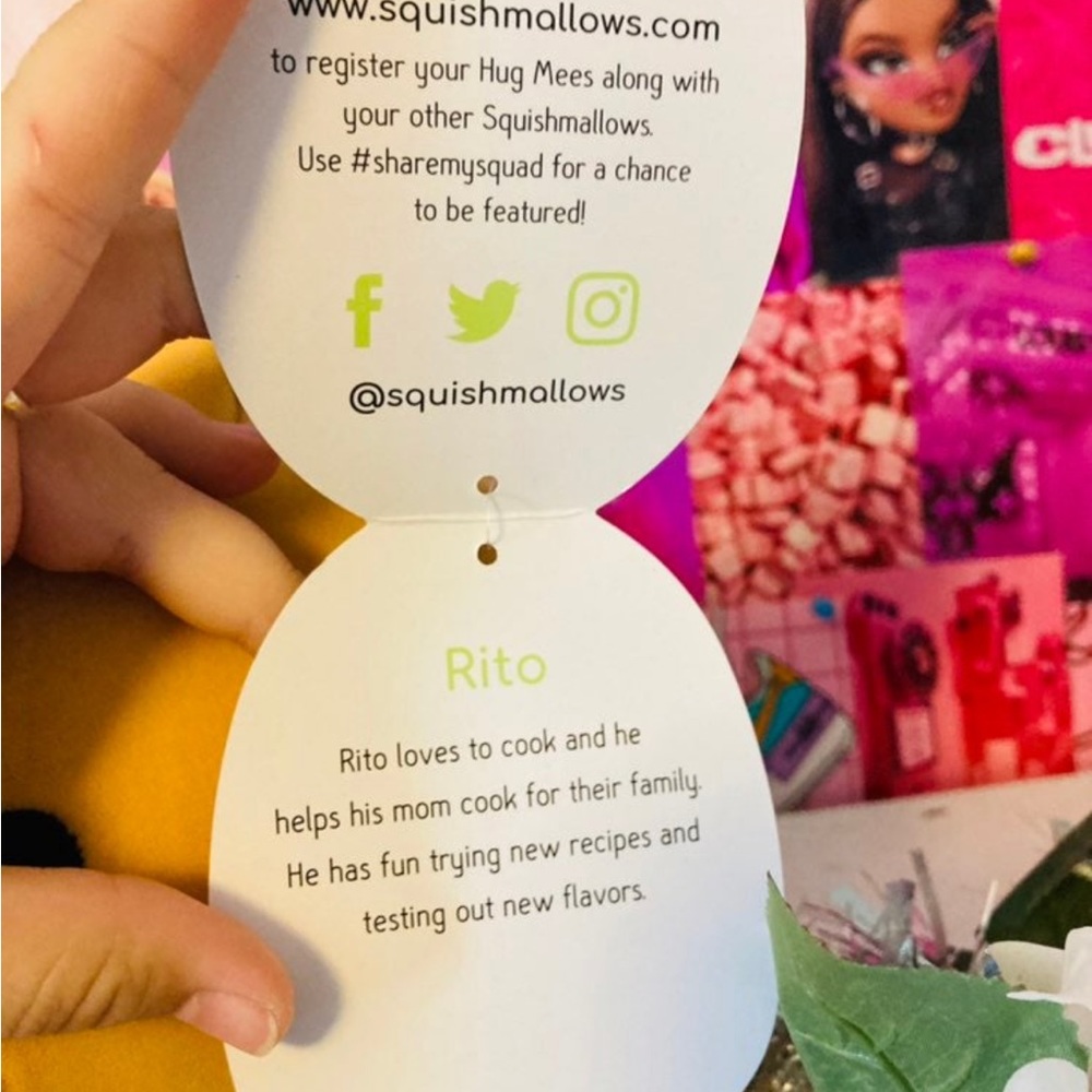 NWT Divina & Rito Hugmee Squishmallow RARE - Picture 5 of 5